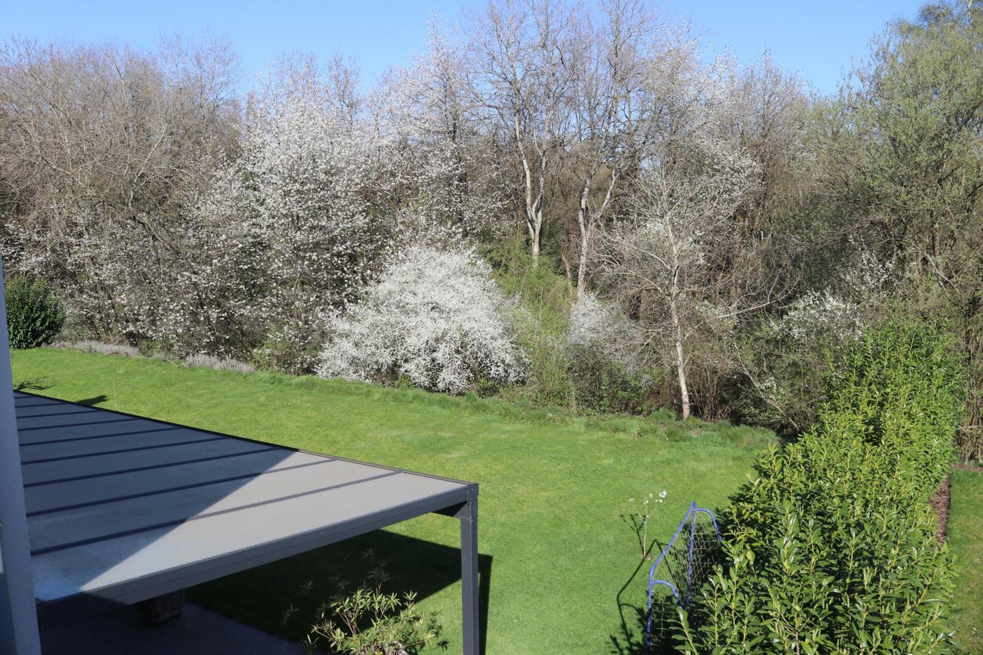 Ferienwohnung Nalbach Wohnung 1 エクステリア 写真